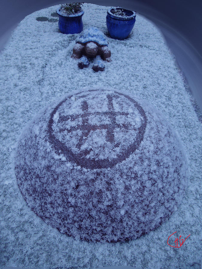 Winter Photograph - First Snow Arrived Fullmoon  Denmark  by Colette V Hera Guggenheim