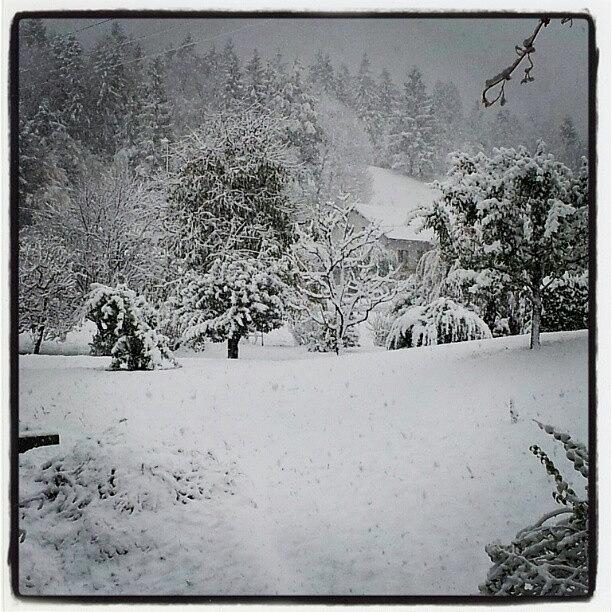 Slovenia Photograph - First snow #igslovenia #logatec by Bostjan Jazbec