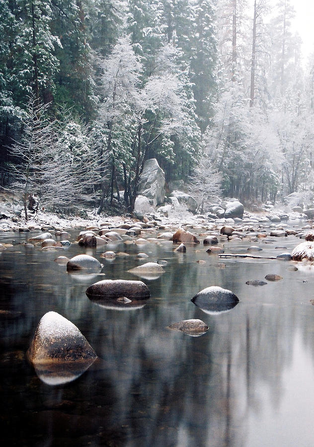 Yosemite National Park Photograph - First Snow by Michael  Cryer