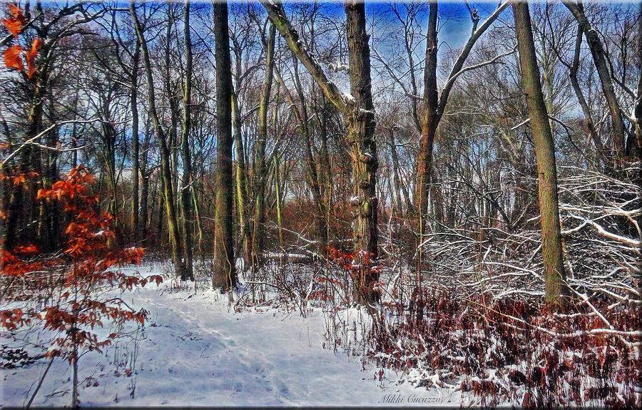 Winter Photograph - First Snow of 2015 by Mikki Cucuzzo