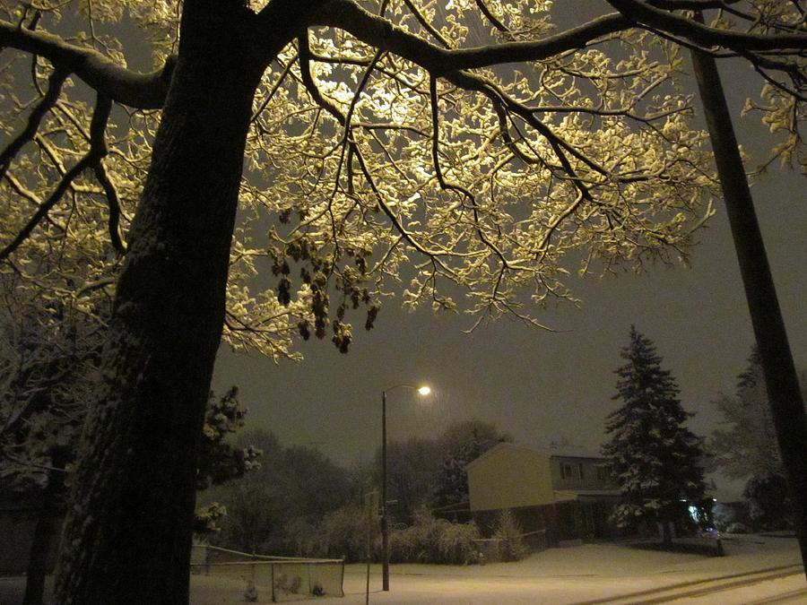 first snowstorm in Toronto Photograph by Alfred Ng