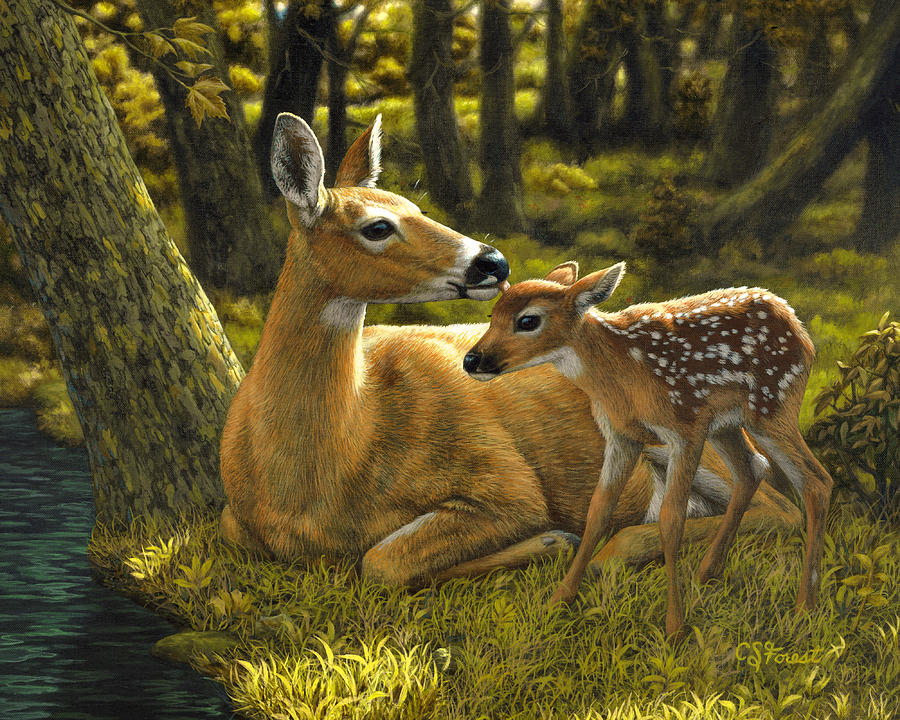 Deer Painting - First Spring - variation by Crista Forest