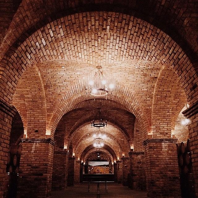 Vscocam Photograph - First Time Wine Tasting. In A Castle by Kevin Mao