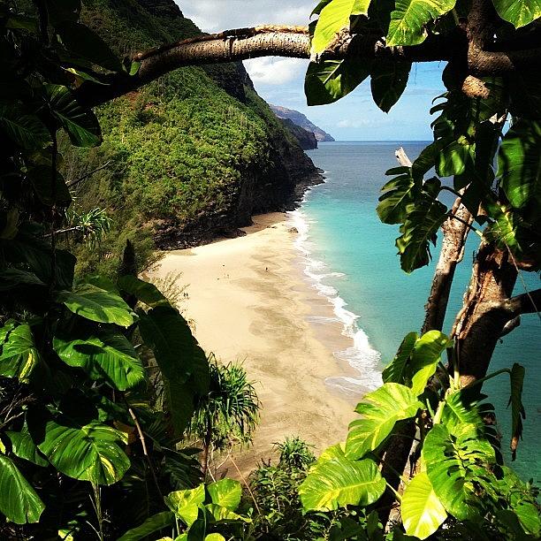 Jungle Photograph - First View From Kalalau Trail by Hal Bowles