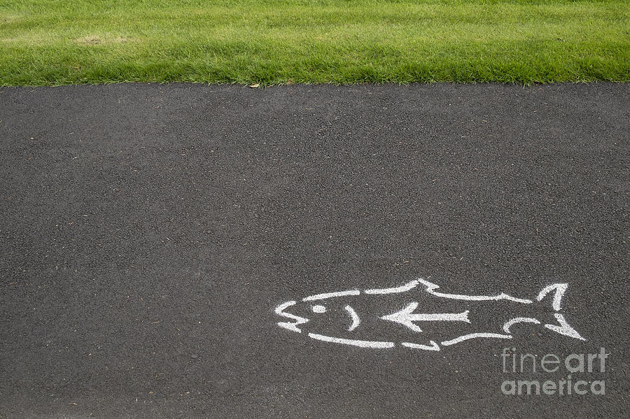 Fish and Arrow on Pavement Photograph by Bryan Mullennix