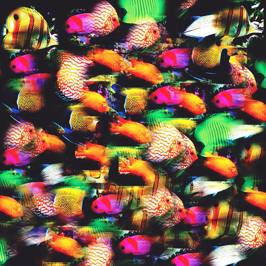 Fish Digital Art - Fish and Fishes by Jessie J De La Portillo