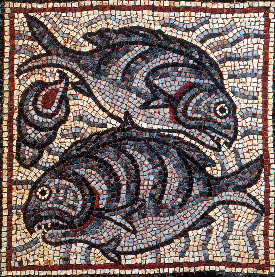 Fish, Byzantine Mosaic, 6th Century Photograph by Science Source