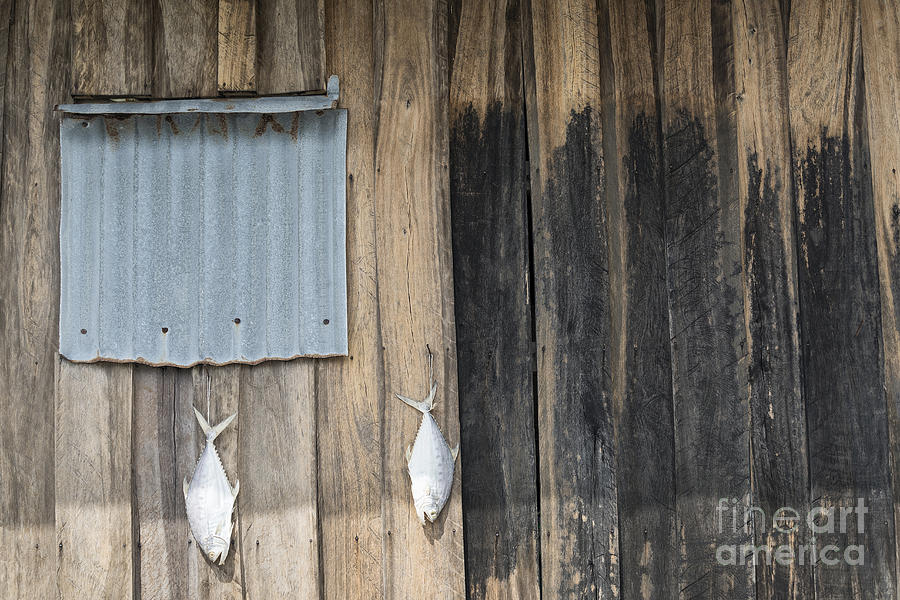 Abstract Photograph - Fish Drying Outside Rustic Fisherman House by JM Travel Photography