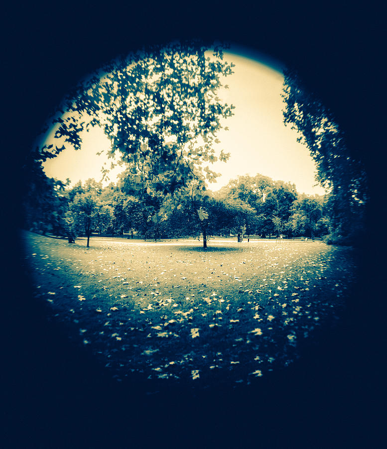 Fish eye Park Photograph by Lenny Carter