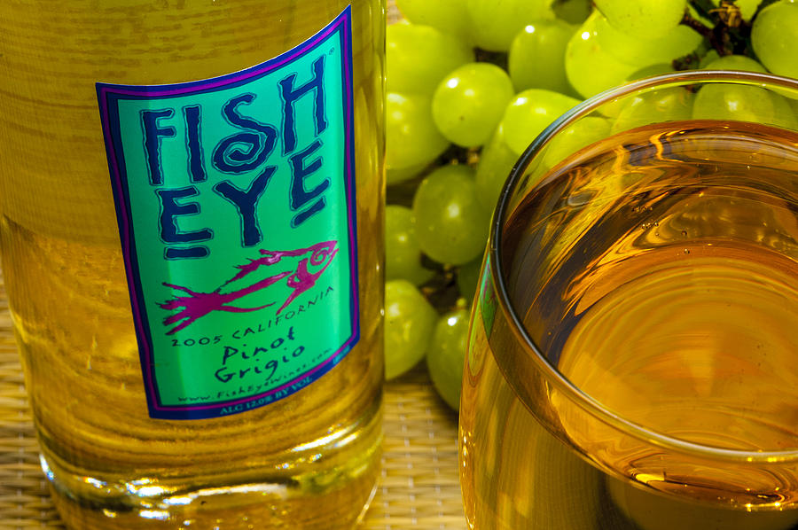Fish Eye Wine Photograph by Kevin Cable