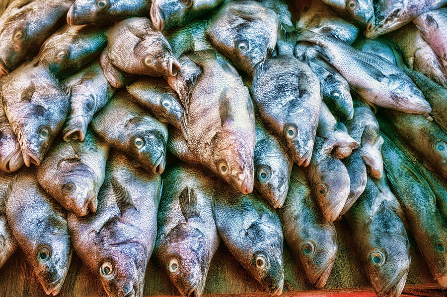 Fish for sale Popotla Photograph by Hugh Smith