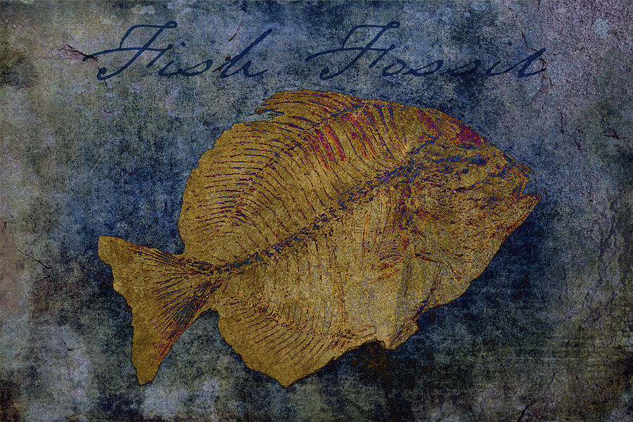 Fish Fossil Digital Art by Sandra Selle Rodriguez