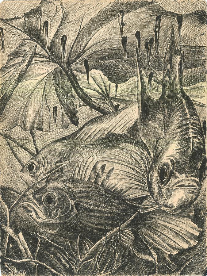 Fish Haven Drawing by Richard Jules