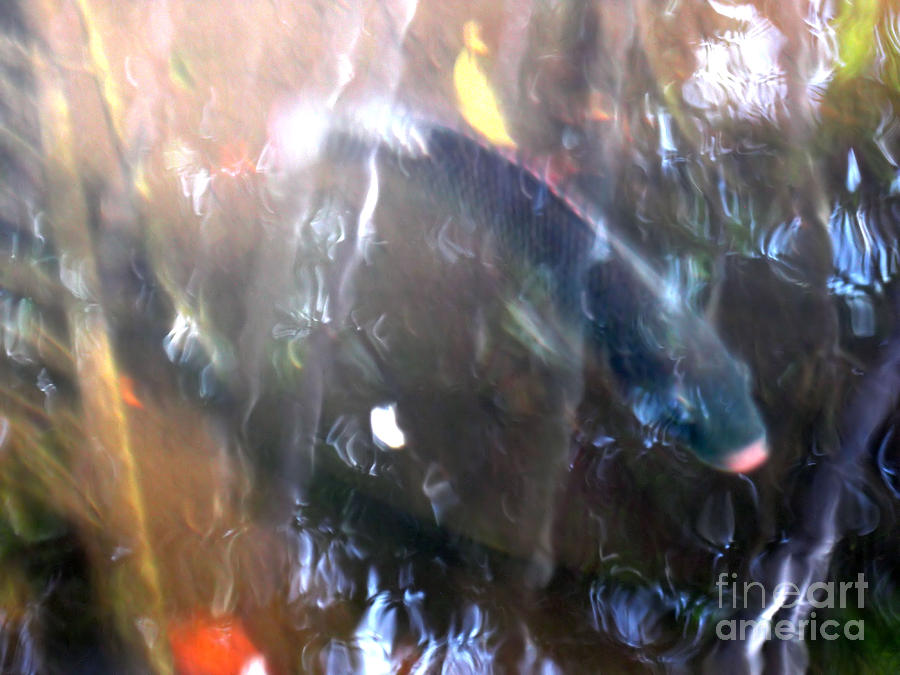 Fish in the water Photograph by Oksana Semenchenko