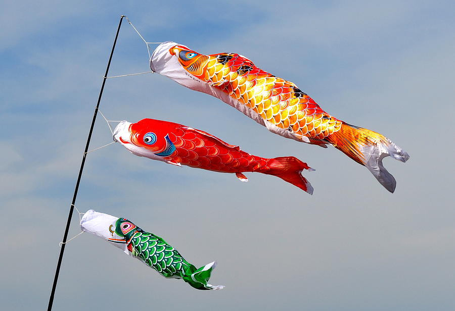 Fish Kite 3 Photograph by Michael Bruce - Fine Art America