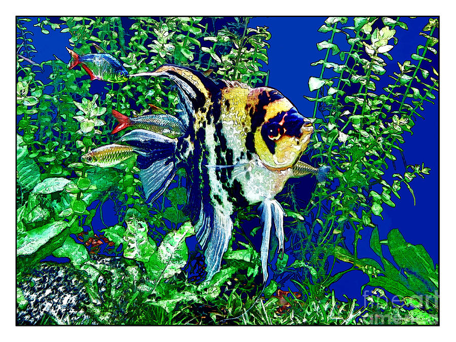 Fish Life Photograph