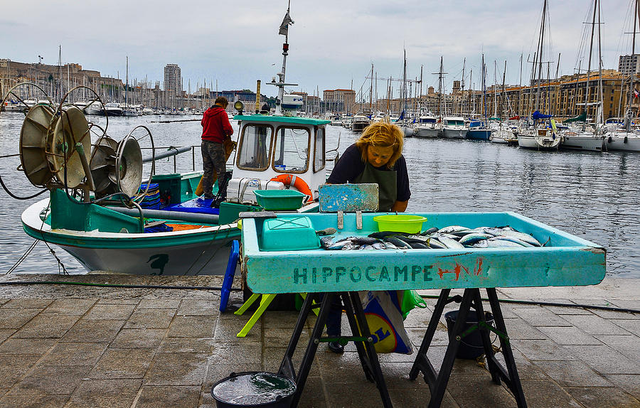 Fish market in Marseille Harbor Photograph by Dany Lison