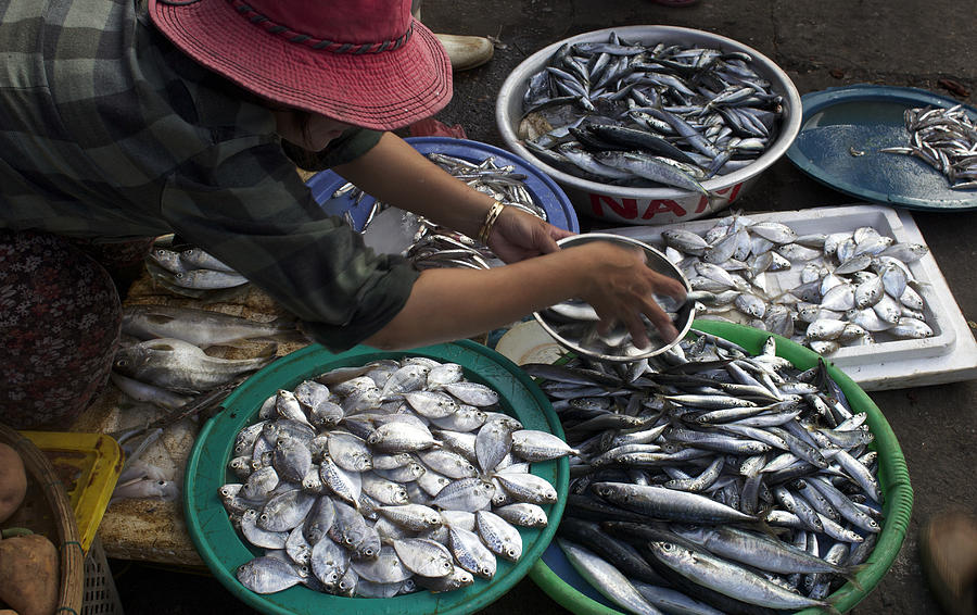 Fish Market in Vietnam Photograph by Venetia Featherstone-Witty