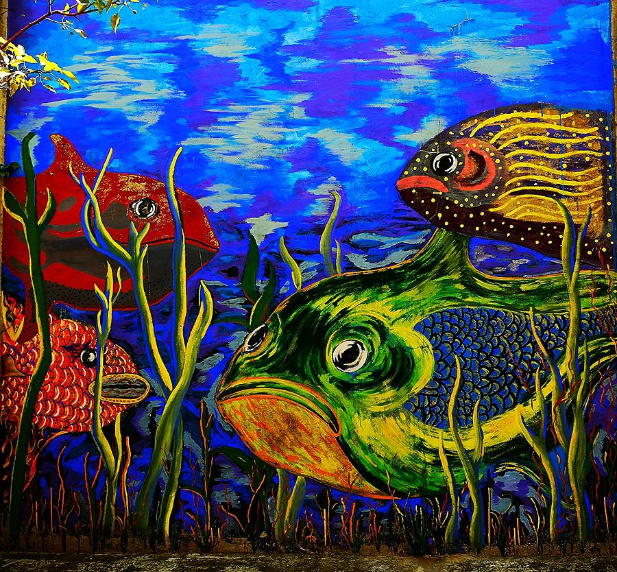 Fish Mural Photograph by Andre Van Vegten - Fine Art America