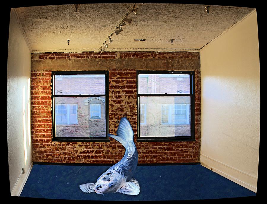 Fish-N-Room Photograph by Viktor Savchenko