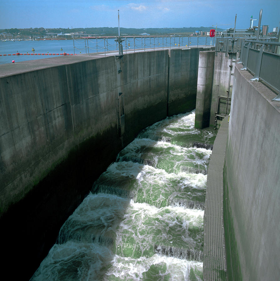 Fish Pass by Robert Brook/science Photo Library