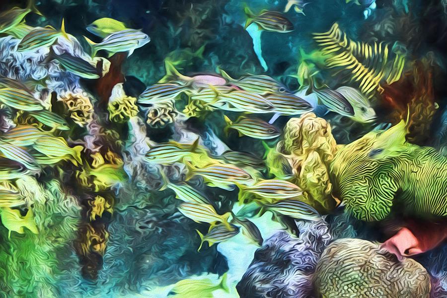 Fish School Painting by Jim Buchanan