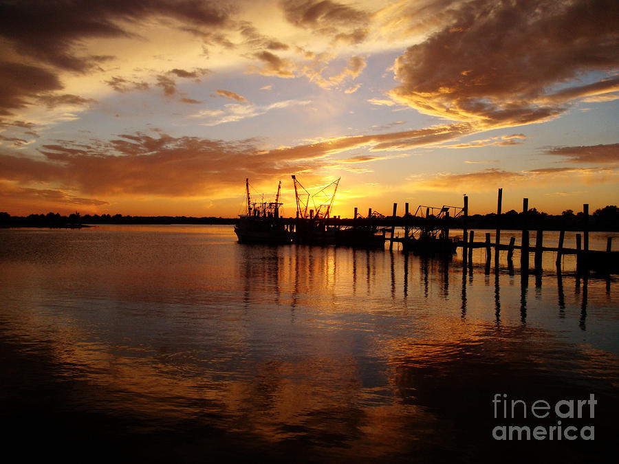 Sunset Photograph - Fish Shaped Clouds by Kelley Freel-Ebner