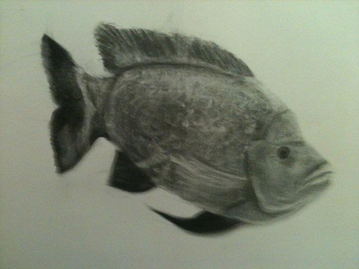 Fish Painting by Sheila Mashaw