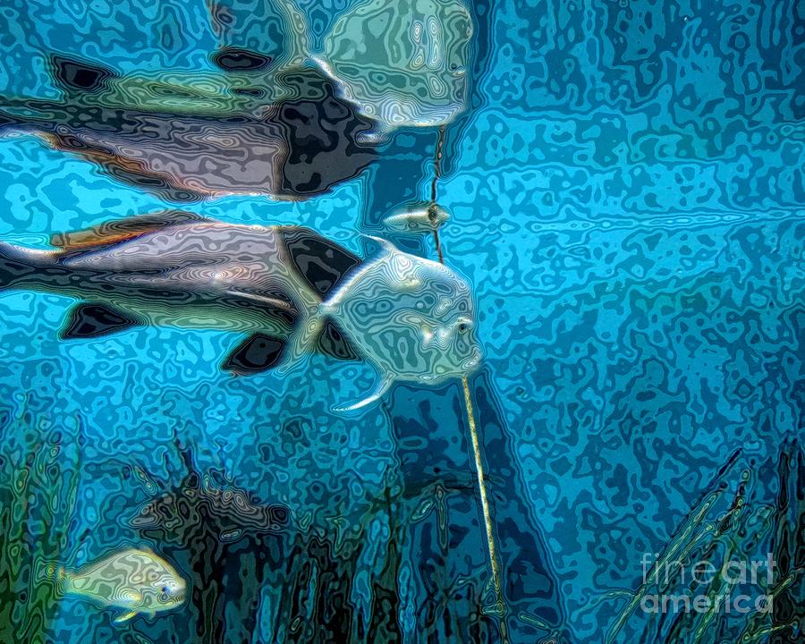 Fish Swimming Photograph by Scott Cameron