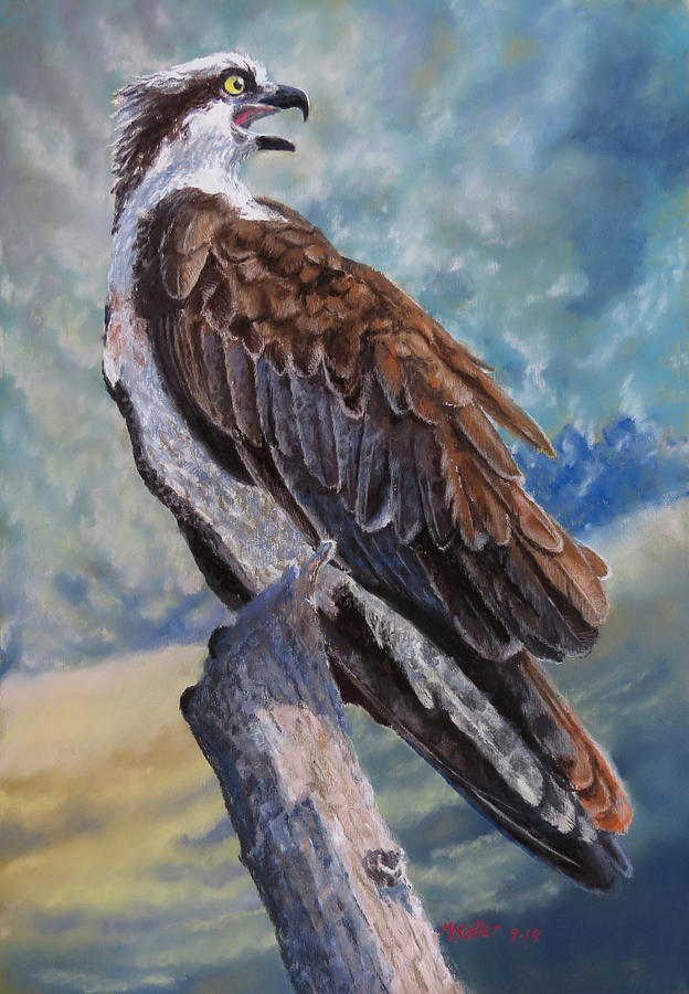 Osprey Pastel - Fisher King by Marcus Moller