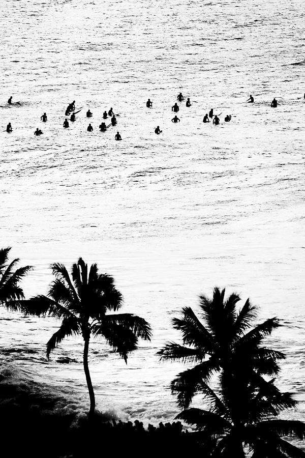 Black And White Photograph - Fisher Palms by Sean Davey