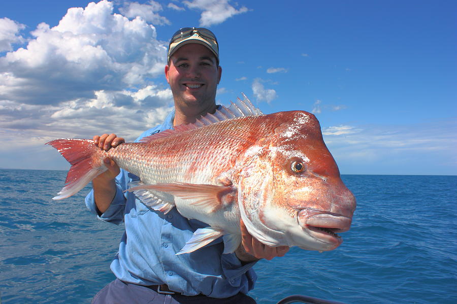 Fisherman and Red Snapper Australia Photograph by Tim Phillips Photos