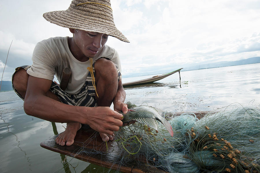 Fisherman, Inle Lake, Shan State Photograph by Cultura Rm Exclusive/yellowdog