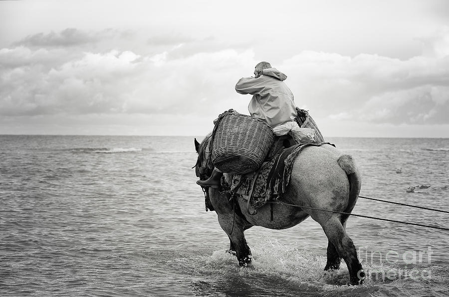 Horse Photograph - Fisherman on the back of a horse by LHJB Photography