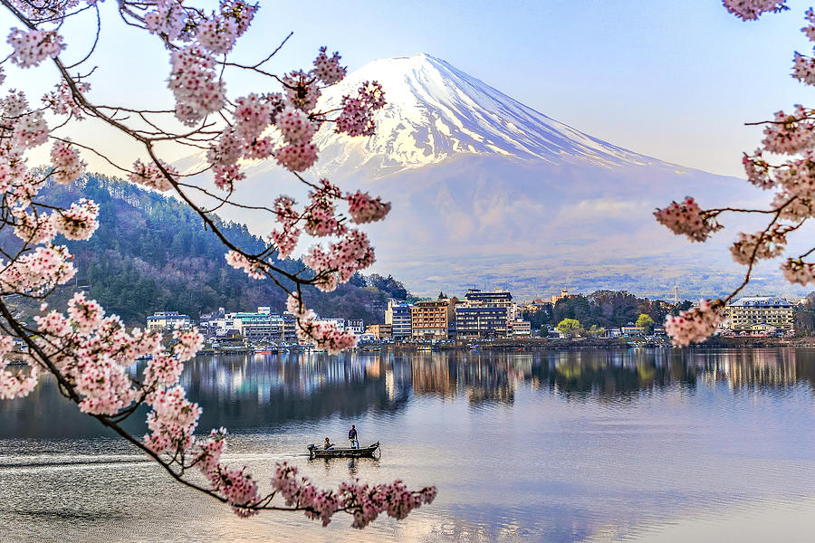Fisherman sailing boat in Kawaguchiko Lake and Sakura with Fuji Mountain Reflection Background Photograph by DoctorEgg