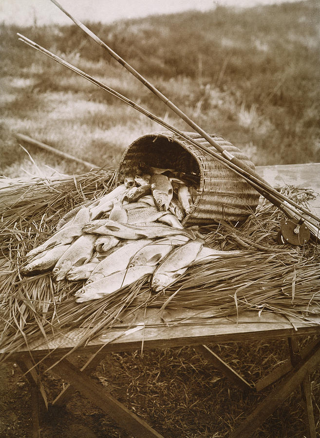 Fish Photograph - Fishermans Catch, 1902 by Granger
