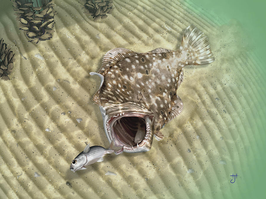 Fishermans Post Flounder Digital Art by Hayden Hammond
