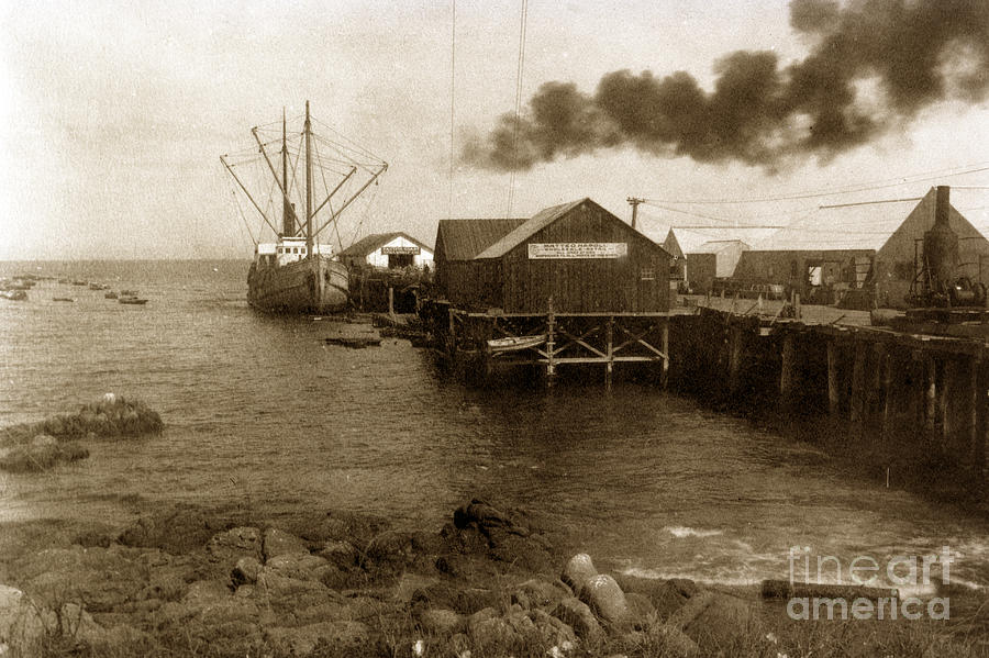 Fishermans Wharf Monterey circa 1920 Photograph by Monterey County Historical Society