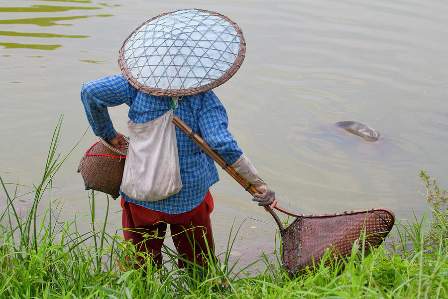 Fisherwomen In Rice Fields Photograph by Jean-claude Soboul