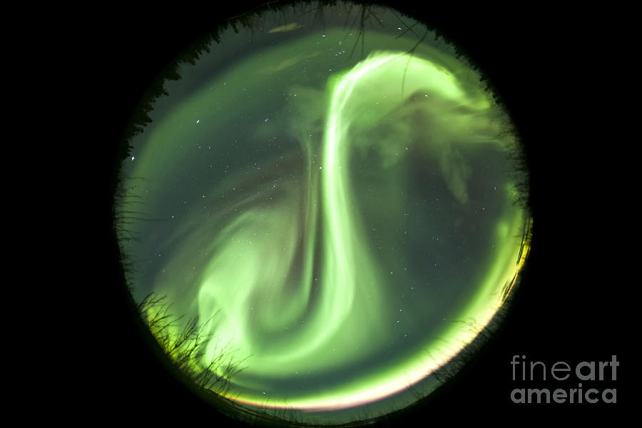 Fisheye Lens View Of A Bright Aurora Photograph
