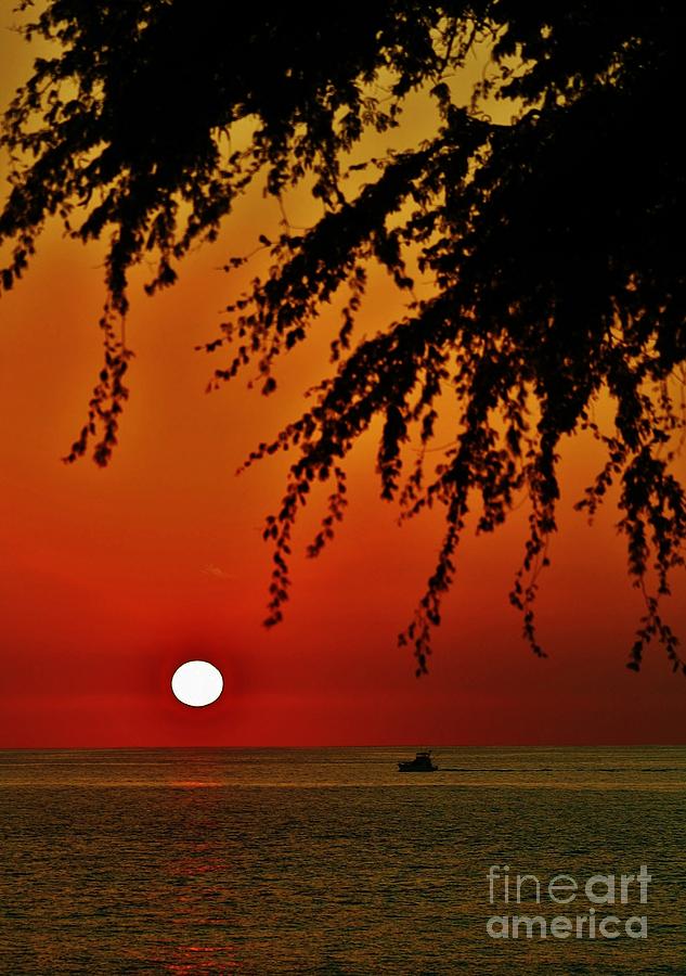 Fishing at Sunset Photograph by Craig Wood