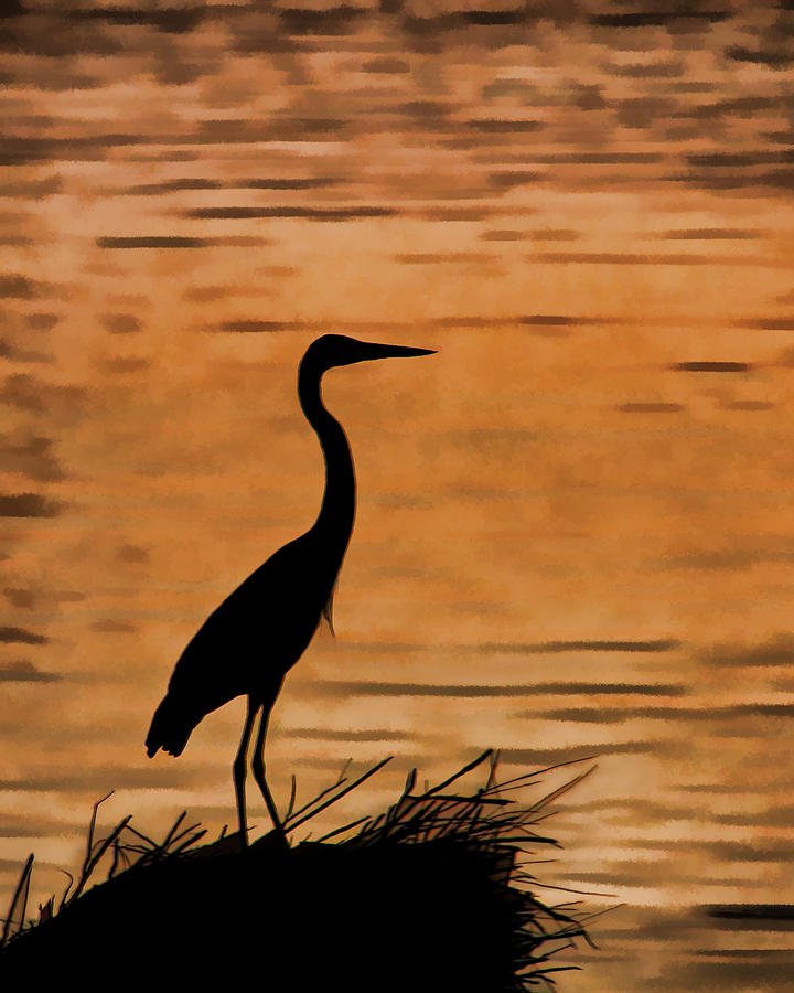 Fishing at Sunset Photograph by Jerry Nettik