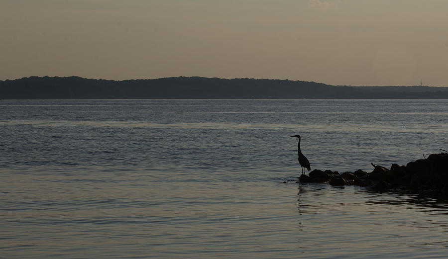 Fishing at Sunset Photograph by Leah Palmer - Fine Art America