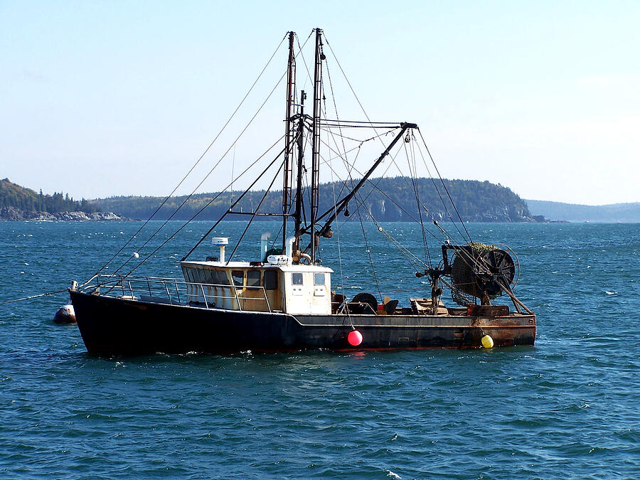 Fishing Boat at Mooring Photograph by Roland Strauss - Fine Art America