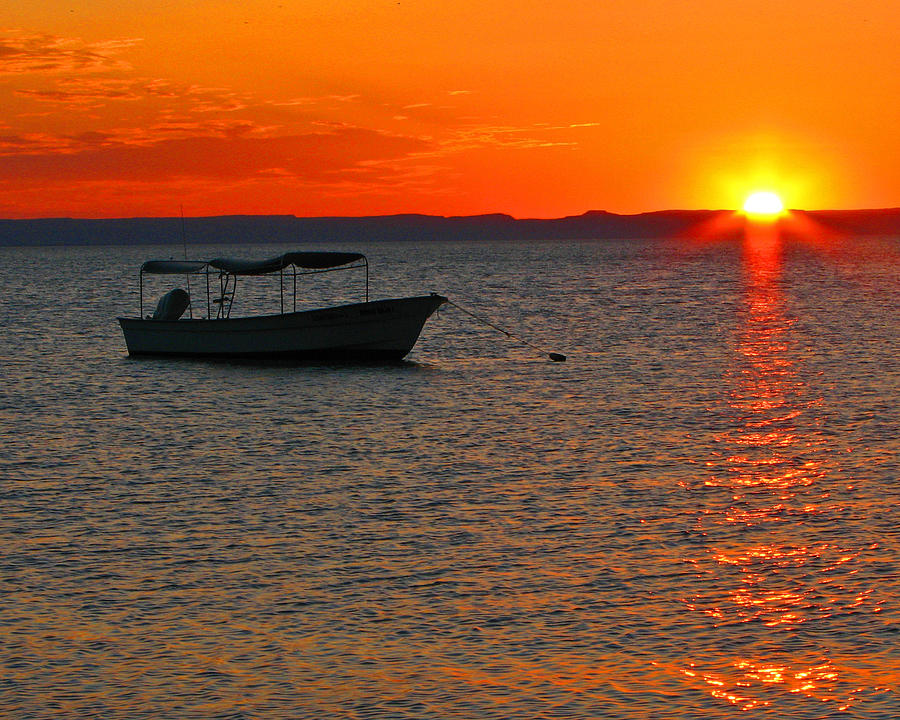 Fishing Boat At Sunset Photograph by Marcia Socolik