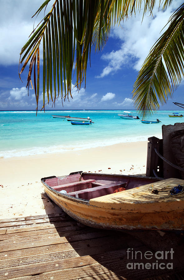 Fishing boat - Barbados Caribbean Photograph by Matteo Colombo