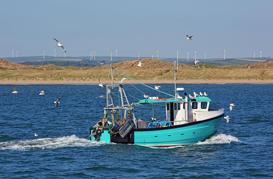Seagull Photograph - Fishing Boat Being Follwed By Gulls by Allan Baxter