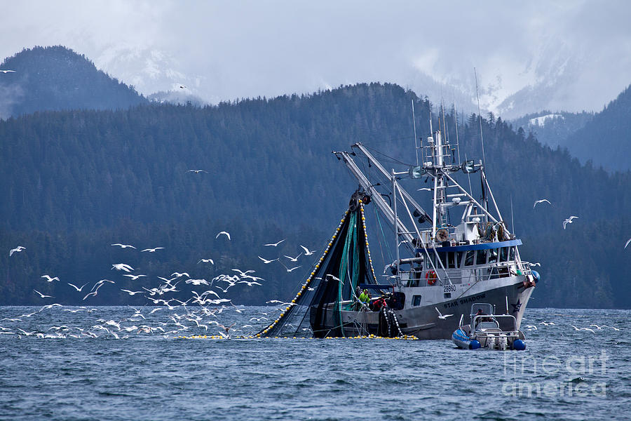 Seagull Photograph - Fishing Boat by Ernest Manewal