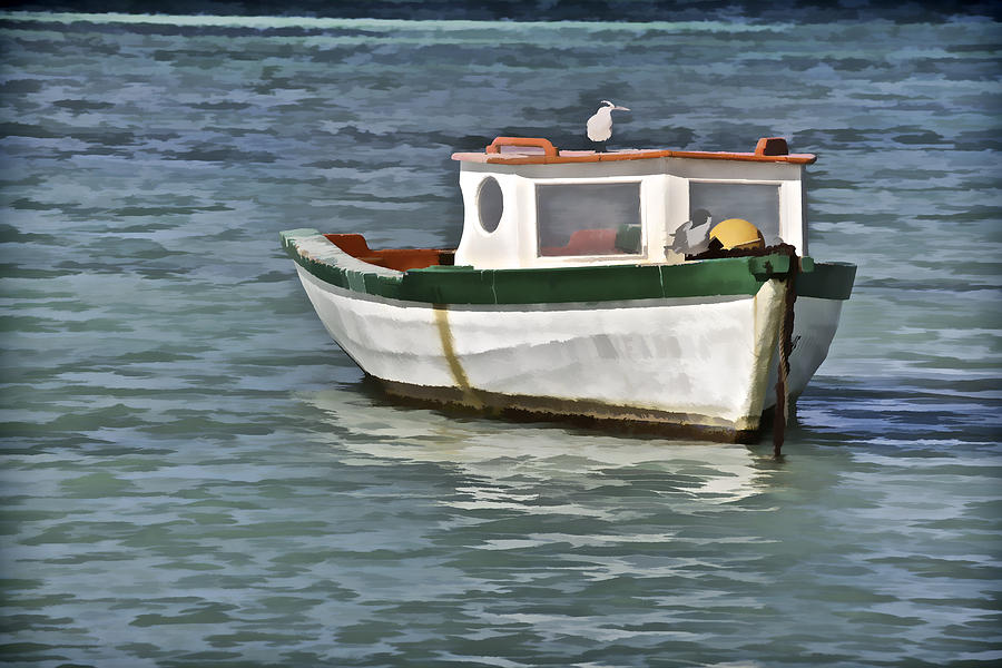 Fishing Boat of the Caribbean Photograph by David Letts