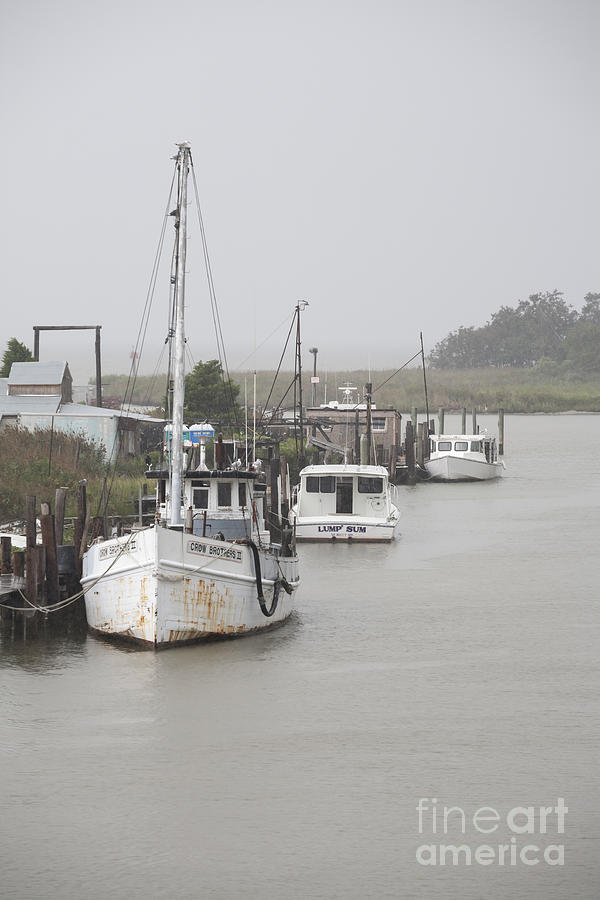 Fishing boats along the docks on Tilghman Island on the Chesapeake Bay in Maryland. Photograph by William Kuta